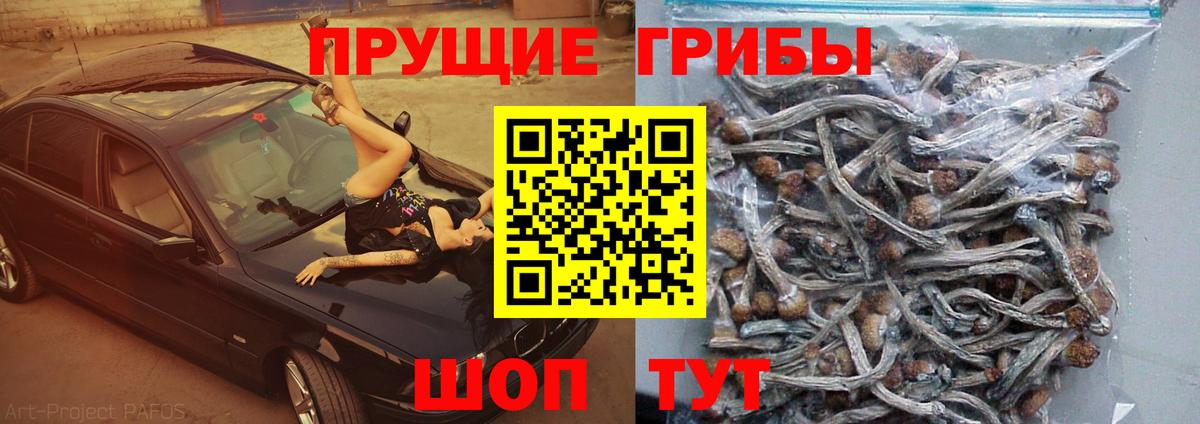 ГАШИШ Алейск