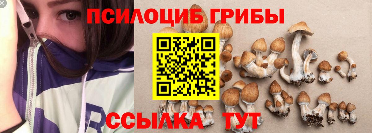 даркнет сайт  Галлюциногенные грибы Psilocybine cubensis  Вход с VPN  Алейск 